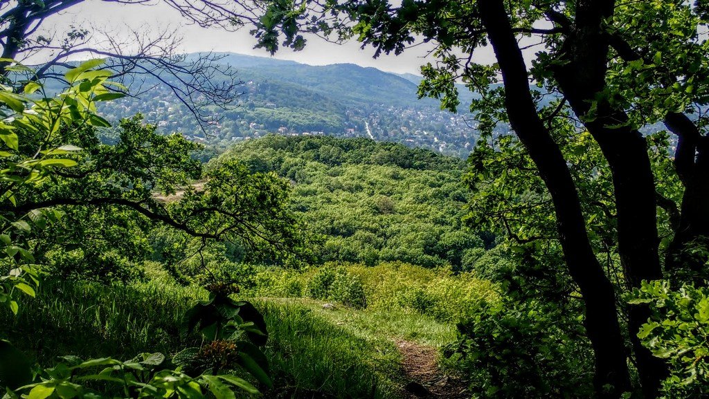 Érdemes a panoráma miatt néha-néha a fák között kilesni Forrás: Nyáry Tamás