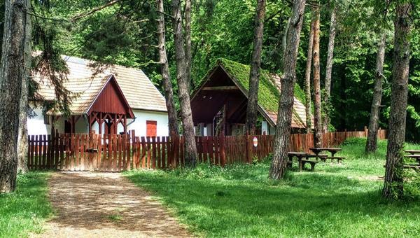 Telki - Anna vadászlak körtúra