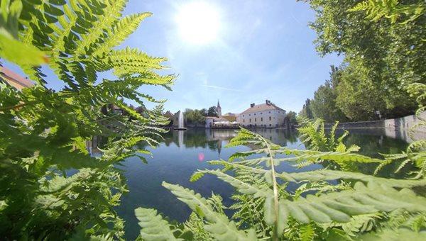 Országos Kéktúra 5 Tapolca - Badacsonytördemic