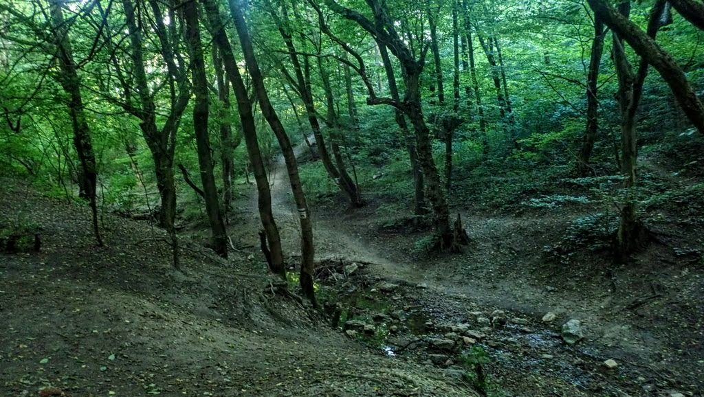 Átkelés a patakon a hegyre vezető ösvényhez Forrás: Nyáry Tamás