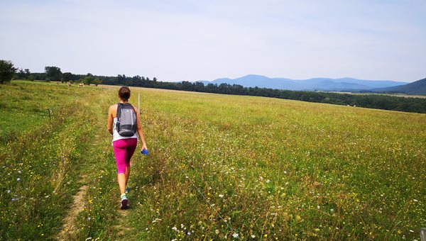Országos Kéktúra 17 Nagymaros-Nógrád