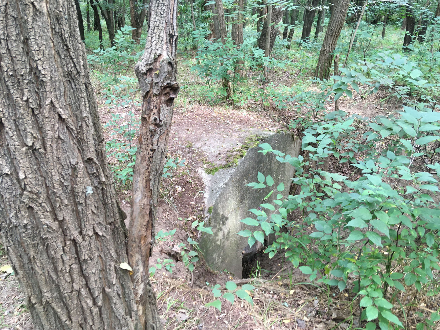 Keresztúri-erdő tanösvény bunker ForrÃ¡s: Mozgásvilág