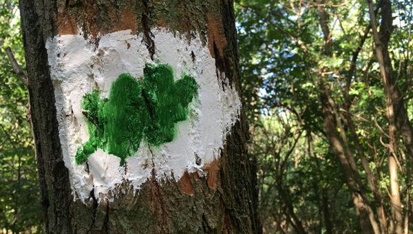 Keresztúri-erdő tanösvény