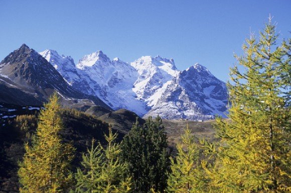 81668-20050726.JPG