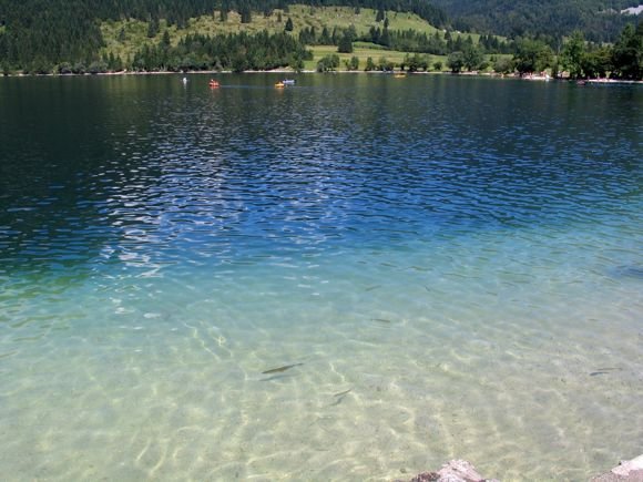 Bohinji-tó