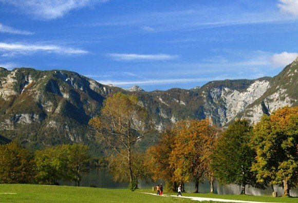 81867-Bohinji-t-3.jpg