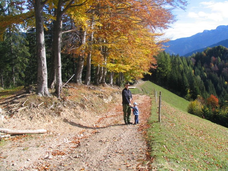 Logarska Dolina