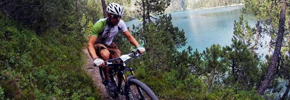 Nyílnak a rózsák jövőre is