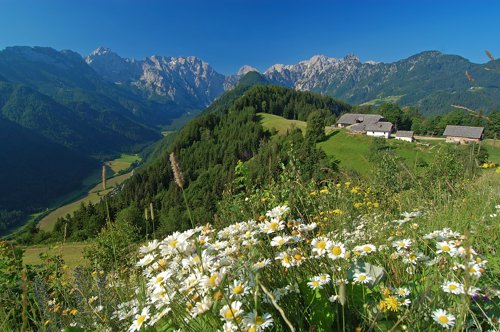 Logarska völgy