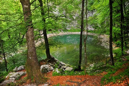 Erdőben megbújó tó, Idrija