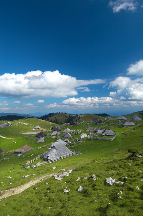 Velika Planina