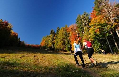 Pohorje Maribor