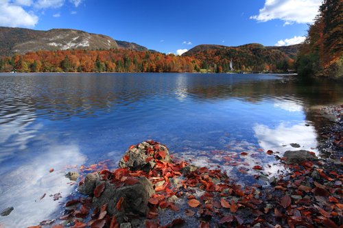 Bohinji tó