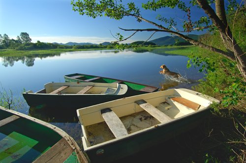 Cerknica tó