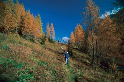 Planina Zapotok