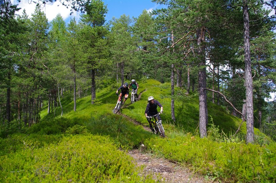 Single track Jamnicában