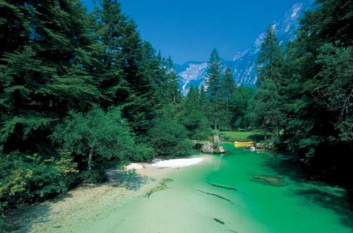 Sava Bohinjka folyó