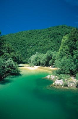 Sava Bohinjka folyó