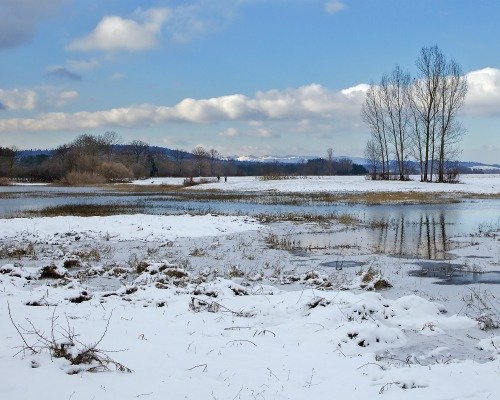 Cerknica tó