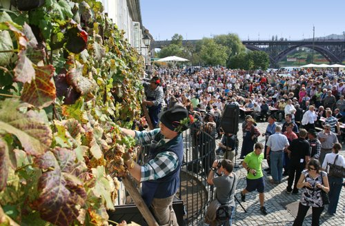 Old-wine-festival_Maribor_Arhiv-Navdih.net.JPG