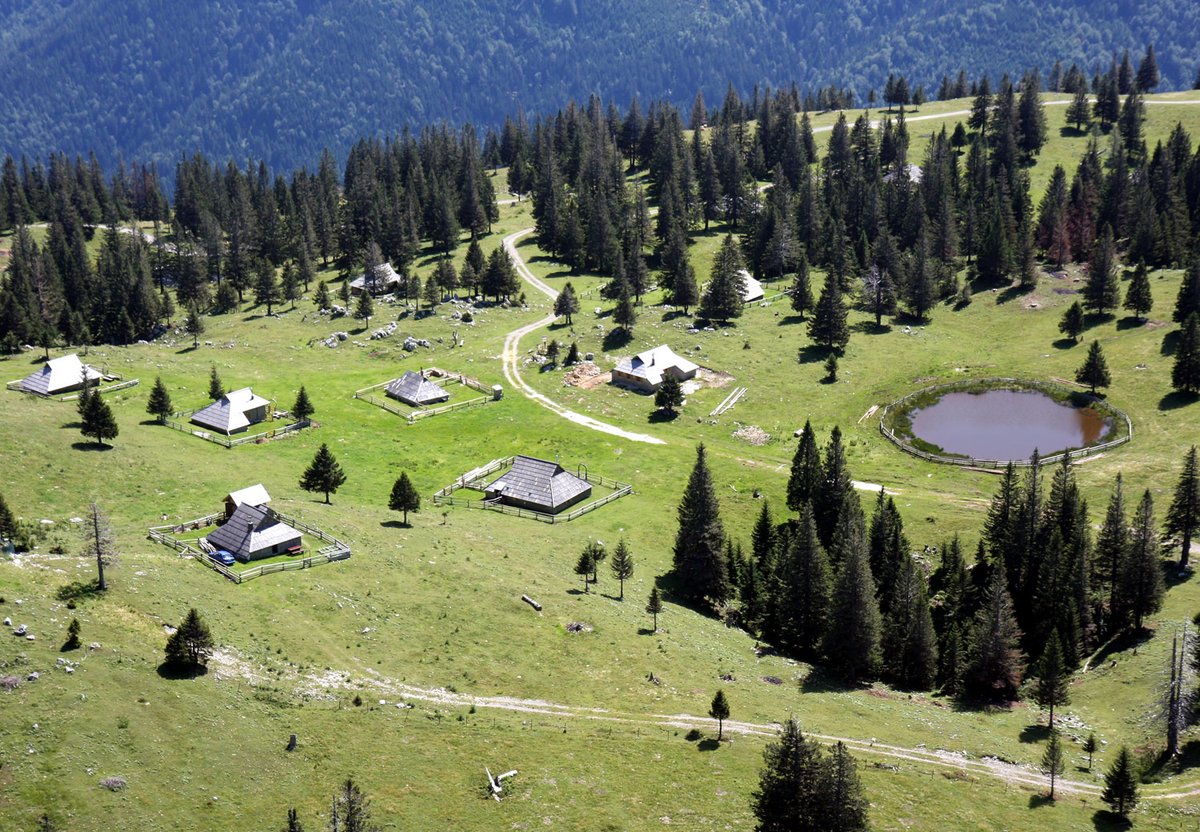 Velika Planina