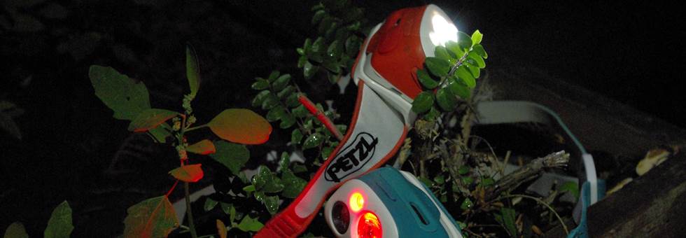 Intelligens Petzl Tikka fejlámpák