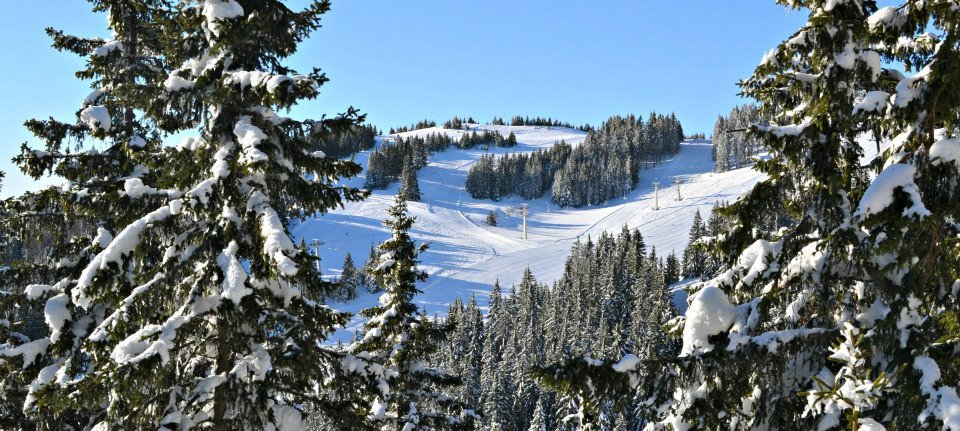 Golte-ski-slopes.jpg