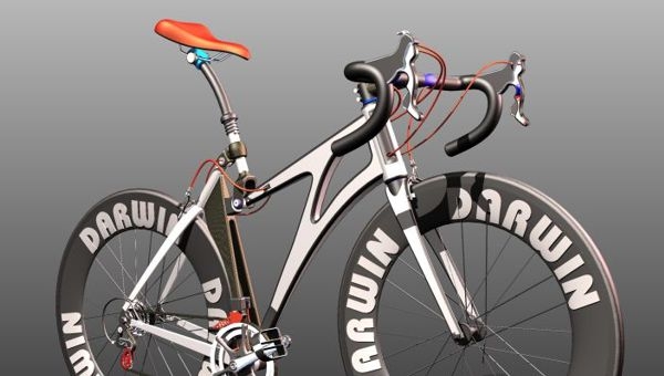 Darwin Bicycle