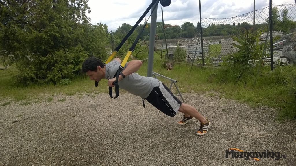 Chest Press - Végső pozíció Forrás: Mozgásvilág.hu