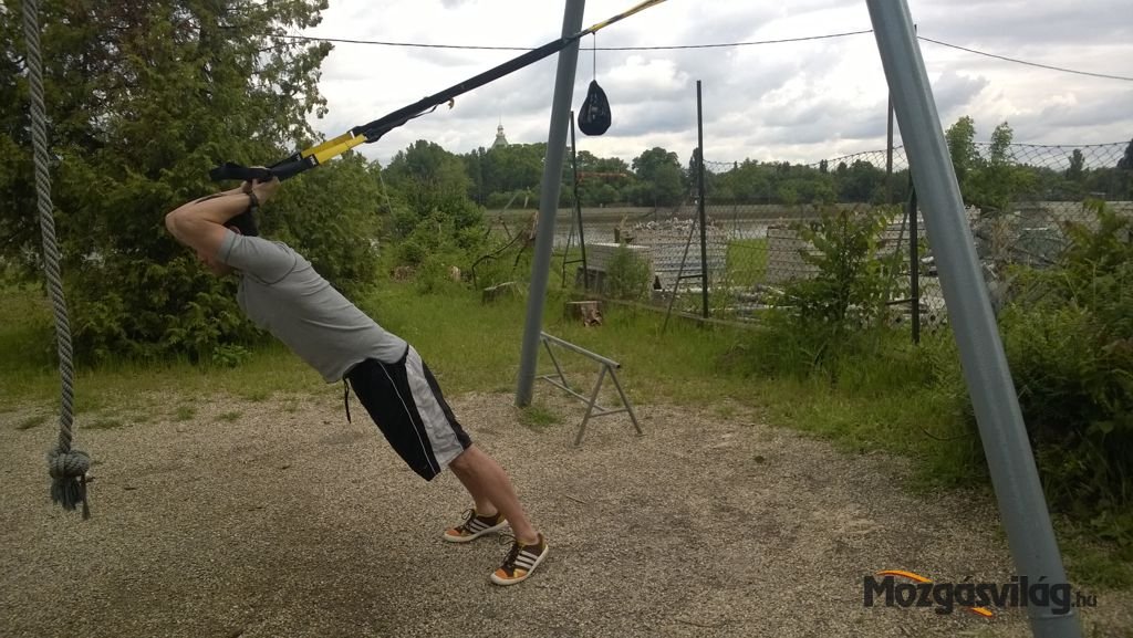 Triceps Press - Végső pozíció Forrás: Mozgásvilág.hu