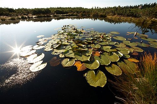 Lovrenska Jezero