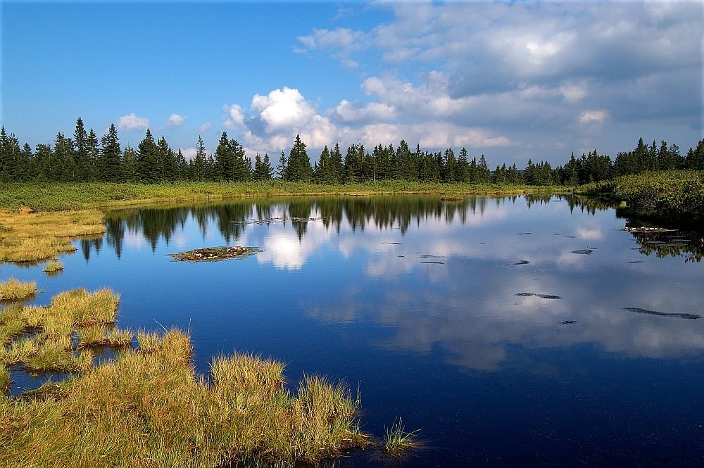 Ribnisko Jezero Forrás: koroska.si