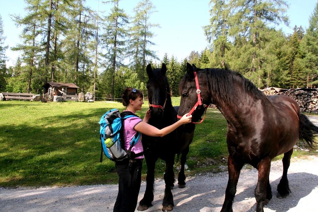 A farmon barátságos lovakkal találkoztunk.