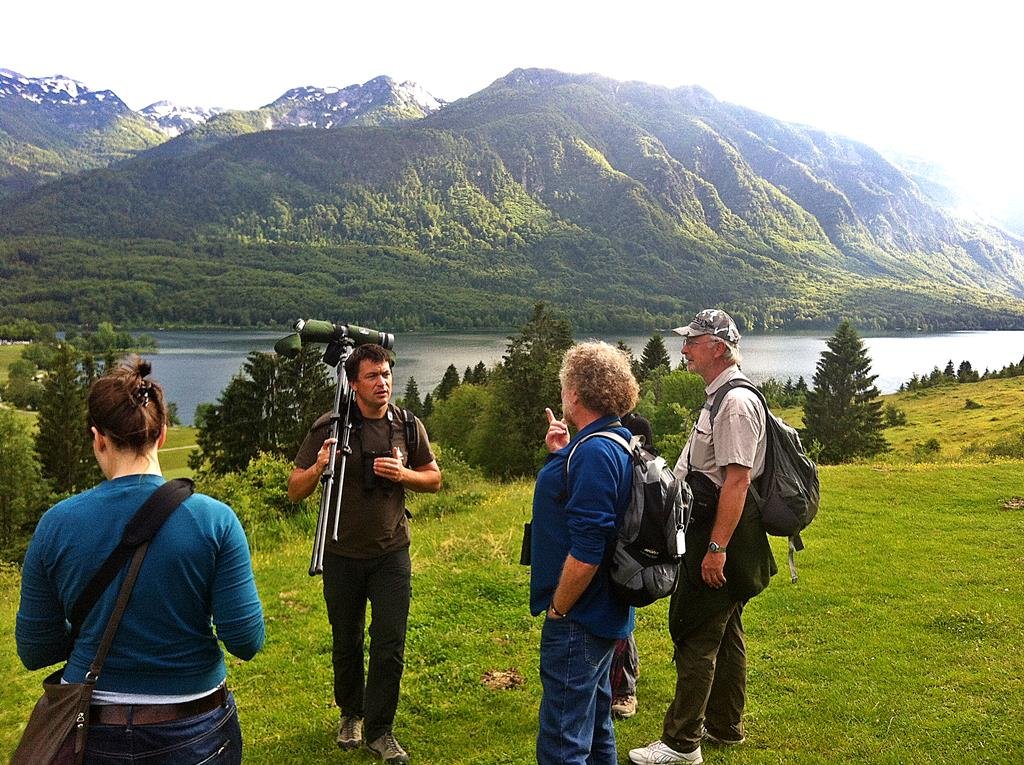 Madárles a Bohinji tó felett. Forrás: (c) Grega Silc