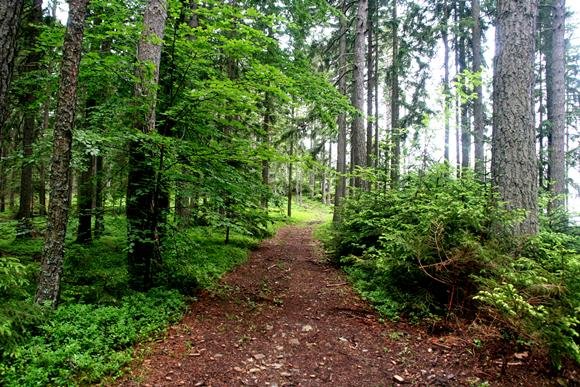 Single Trail ösvény Koroškán.