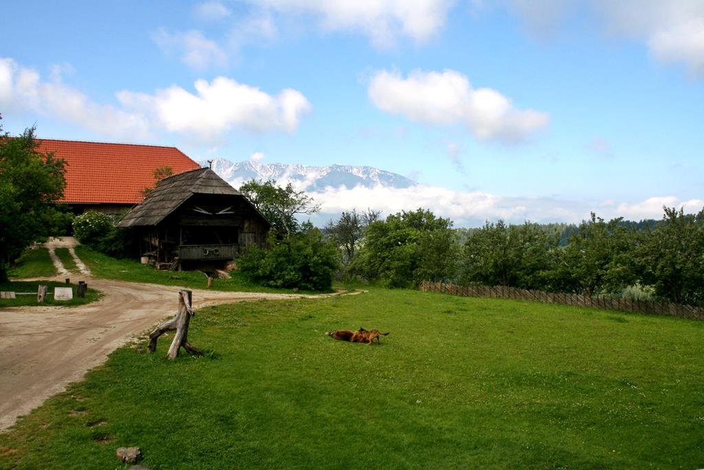 Az EcoHotel Farm Koroš panorámája a Karavankákra.