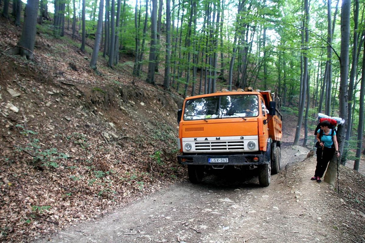 Nemcsak mi, a Kamaz is szereti ezt az utat.