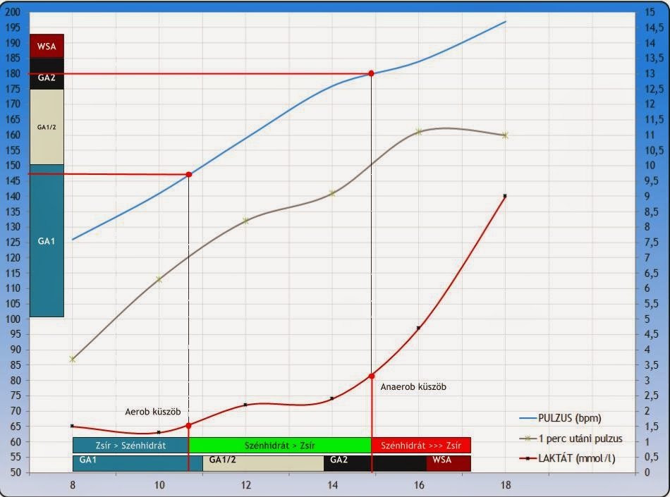 Futóteszt laktát- és pulzusgörbéje edzészónákkal Forrás: Entritrainer.com