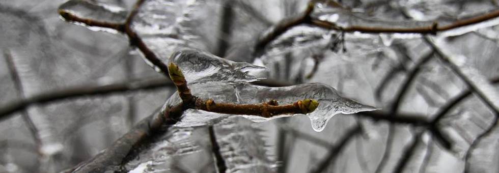 Összefogás katasztrófahelyzet után: te is dolgozz, hogy bringázhass jövőre! Hír