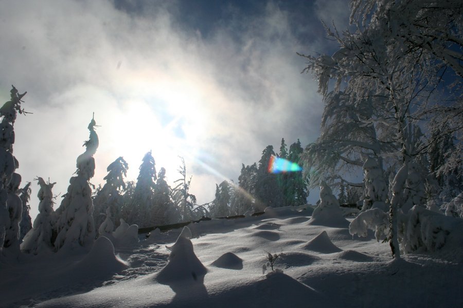 Bistrica Pohorje