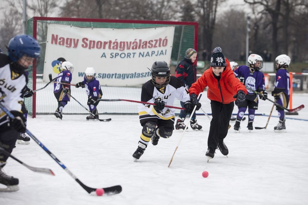 Hoki Forrás: telisportagvalaszto.hu