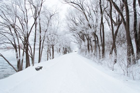 Nagyon téli futóútvonal Forrás: Ali Inay