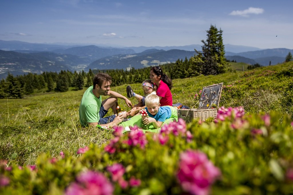 Piknik a mezőn Frauenalpén Forrás: www.steiermark.com