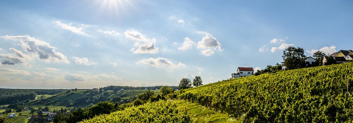 Dél Burgenland Forrás: (c) Burgenland Tourismus