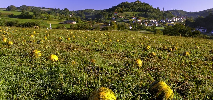 Rába-Őrség-Goričko Természeti Park