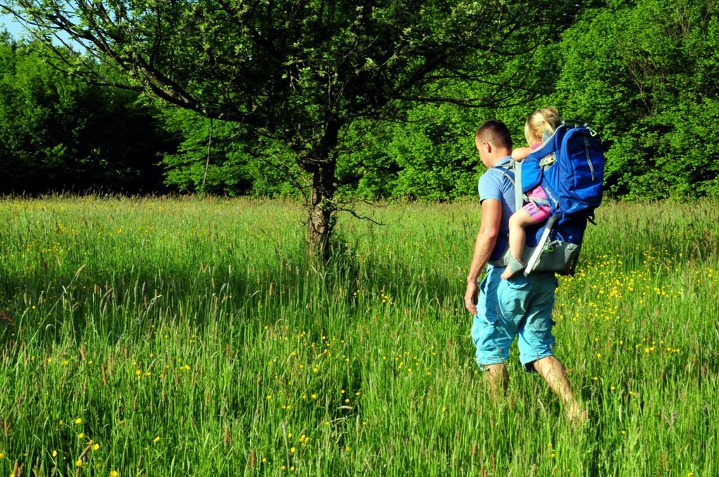 Thule Sapling Elite gyerekhordozó túrahátizsák