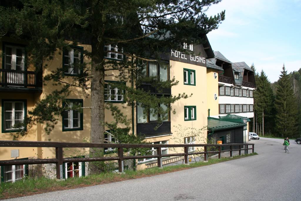 Alpenhotel Gösing