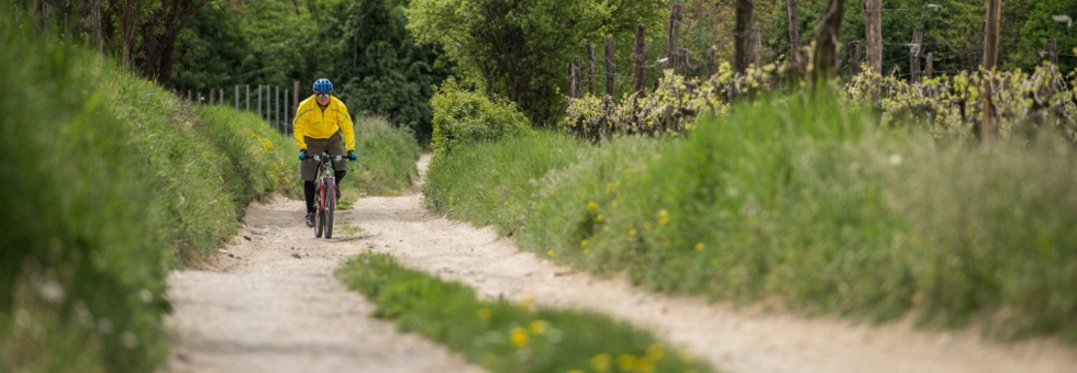 Új kerékpáros túraút a Balaton-felvidéken! Hír
