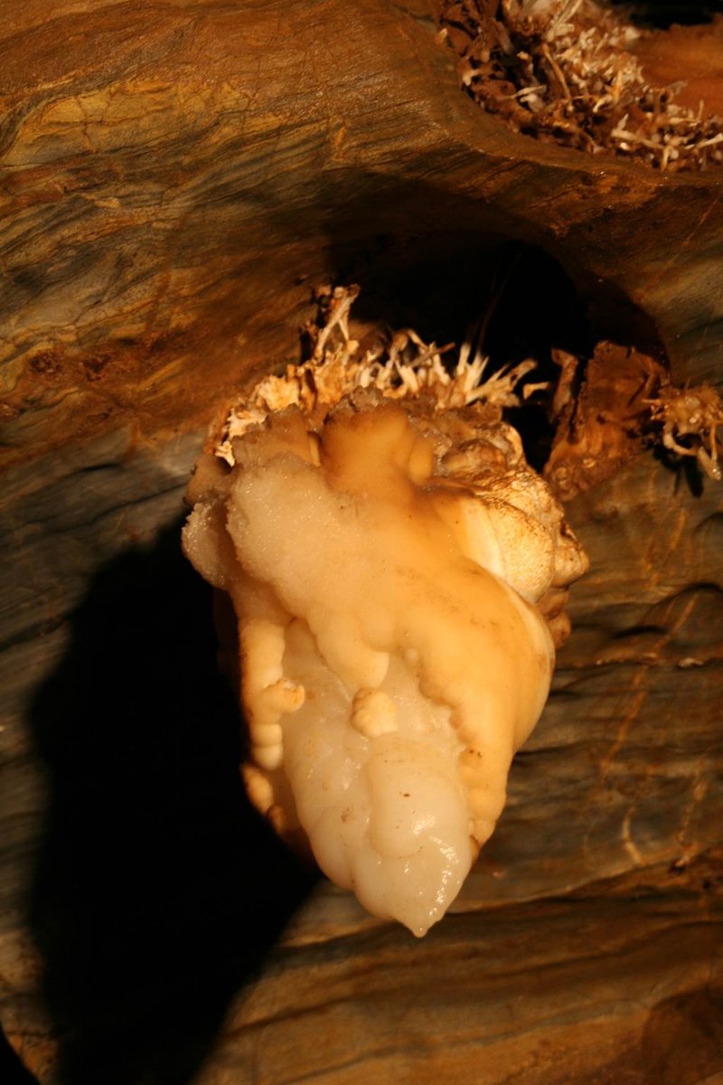 Az Ochtinai-aragonitbarlang szíve