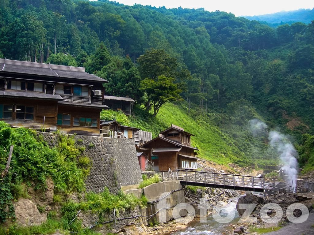 Yudanaka Onsen gőzölgő gyógyfürdője. Majmoknak. Forrás: Fotozoo - Horváth Zoltán